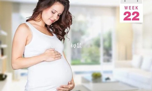 龙鱼喂什么最好-龙鱼玩家必备工具-龙鱼玩家必备工具,中国龙鱼专用药网站